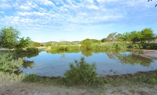fish pond-d